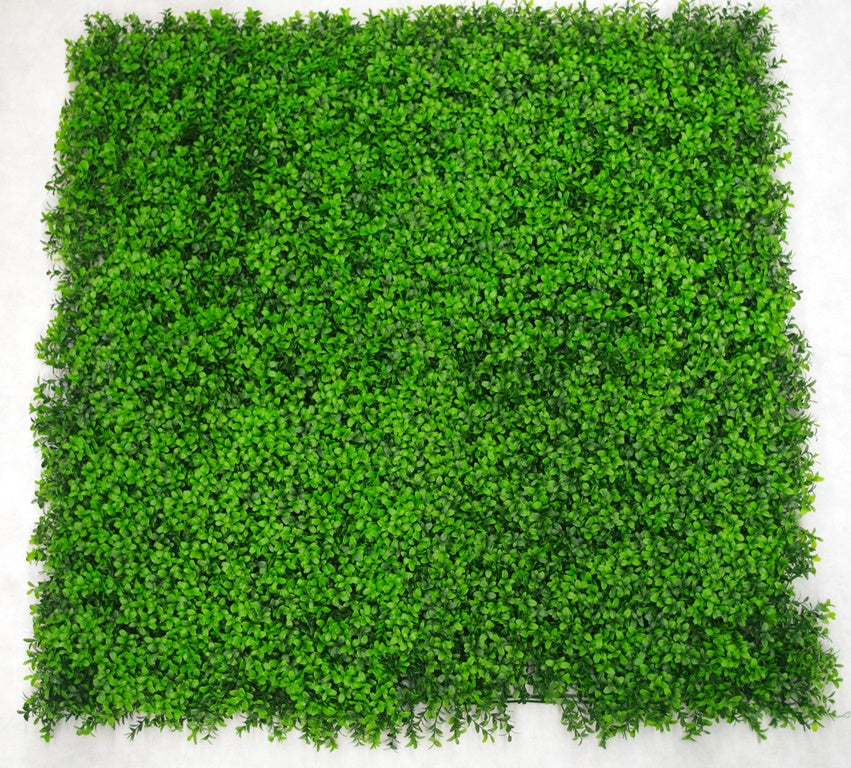 Deluxe Buxus Panels UV Stabilised 1m X 1m